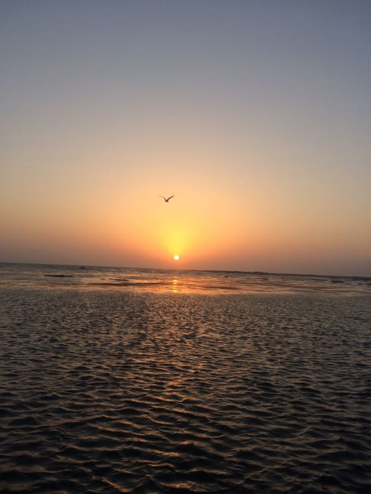 Strand Wyndham Garden Salalah Mirbat