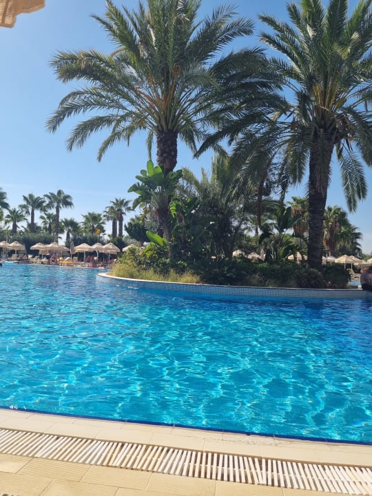 Pool Seaden Sea World Resort & Spa