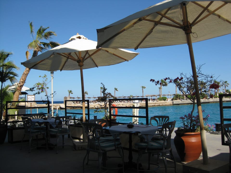 Cafe Mozart Pickalbatros Citadel Resort