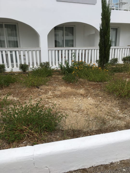 Gartenanlage Sandy Beach Resort