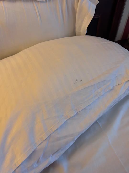 Zimmer Karolina Hotel