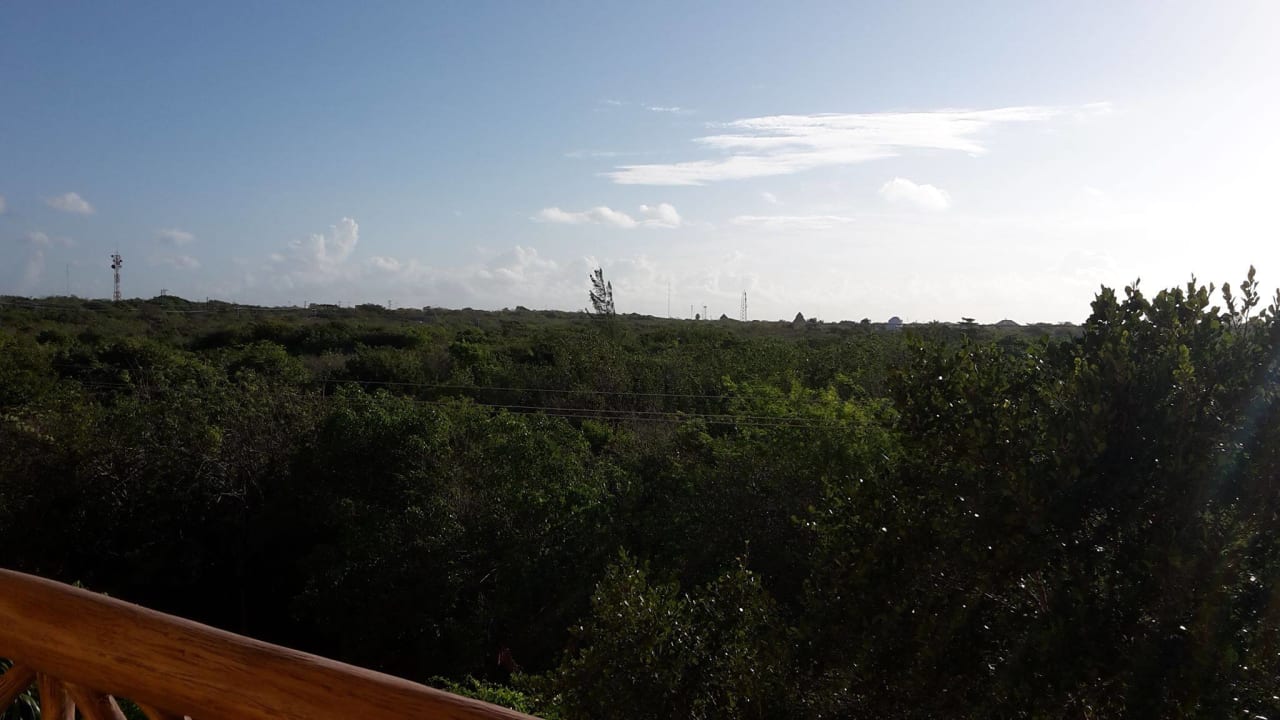 Ausblick vom Balkon und vor der Tür Catalonia Royal Tulum Beach & Spa Resort - Adults only