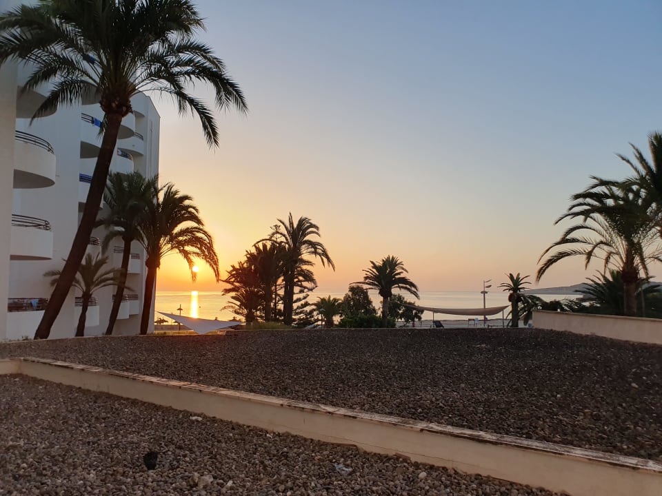 Ausblick Hipotels Dunas Cala Millor