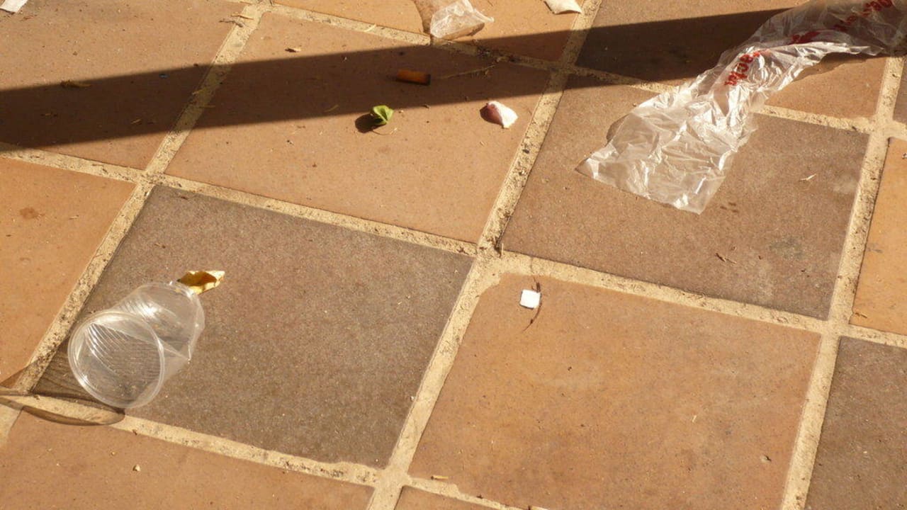 Becher Calimera Fido Gardens