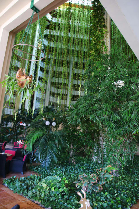 Gastro Blau varadero - Adults only