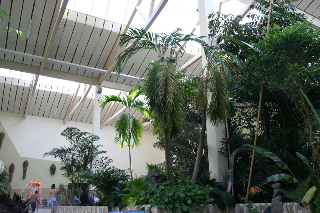 Im Schwimmbad Center Parcs Park Bostalsee