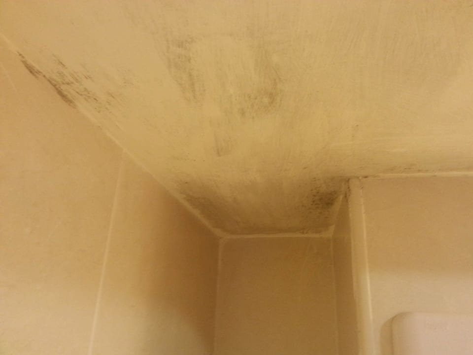 Schimmel im Bad htop Jadhe