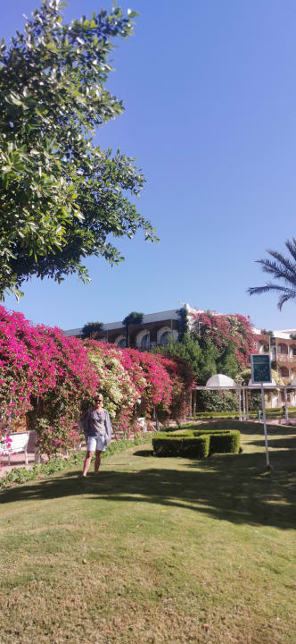 Außenansicht Desert Rose