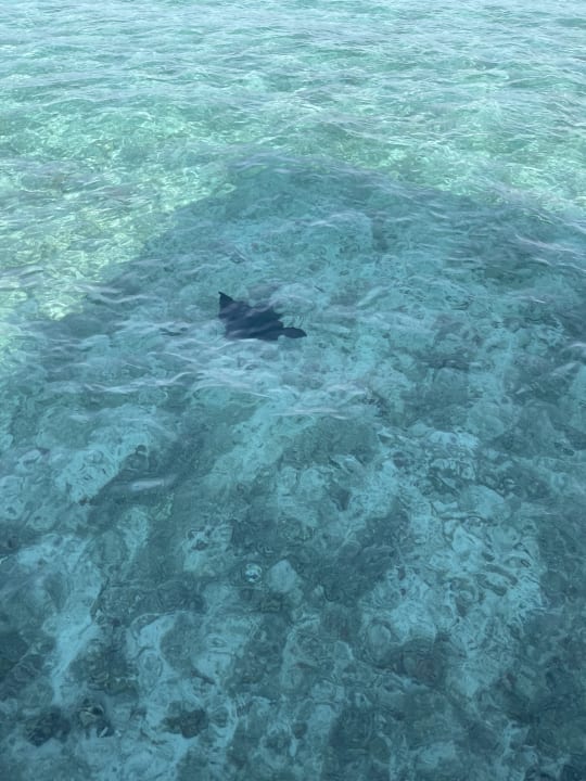 Strand Cinnamon Dhonveli Maldives