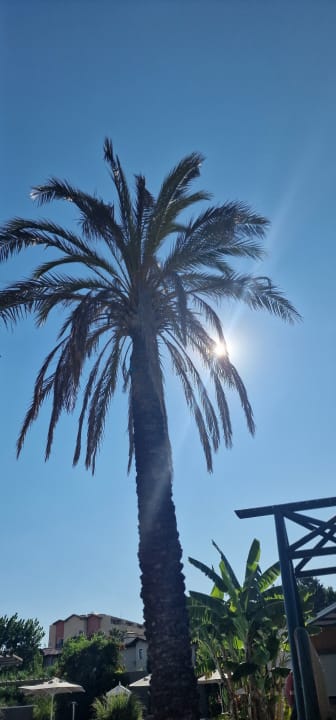 Gartenanlage TUI BLUE Xanthe