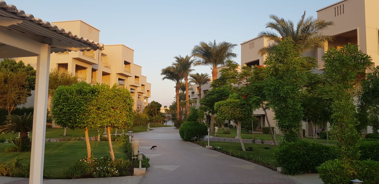 Gartenanlage Jaz Soma Beach