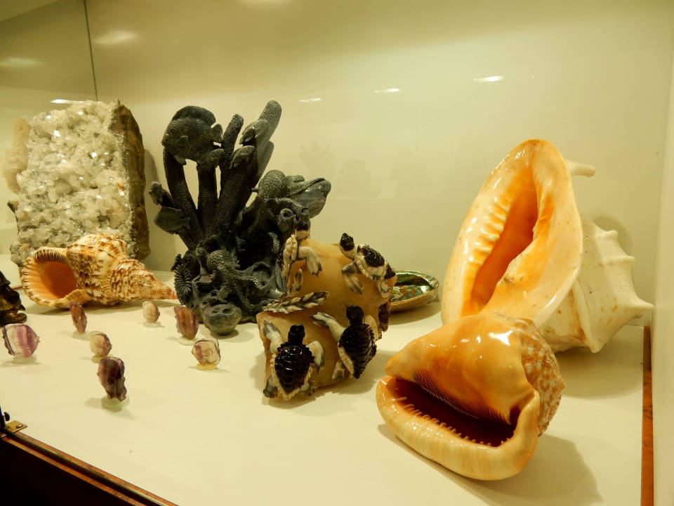 Inhalt der Schaukästen Hotel Isola