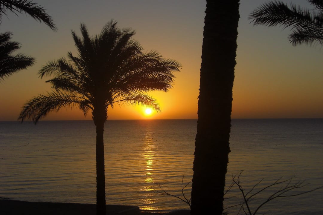 Sonnenaufgang Makadi Spa - Adults only