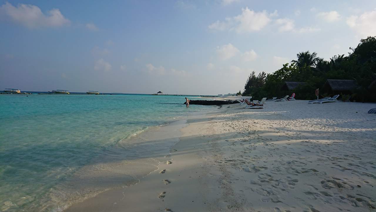 Strand Summer Island Maldives