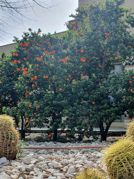 Außenansicht Sunis Kumköy Beach Resort Hotel & Spa