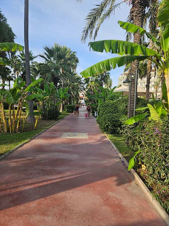 Gartenanlage Adora Hotel & Resort