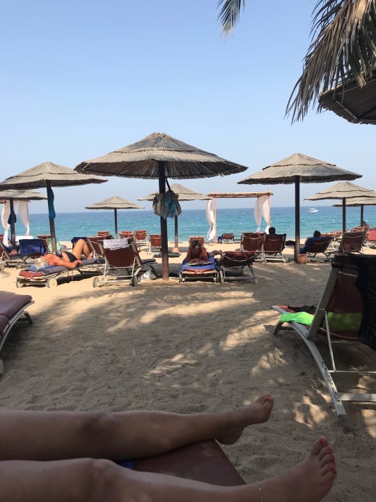 Blick von der Liege Miramar Al Aqah Beach Resort
