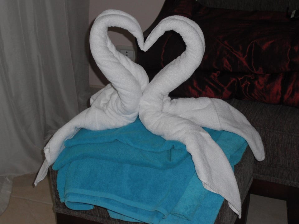 Schwanenpaar Shams Prestige Abu Soma-Adults Only