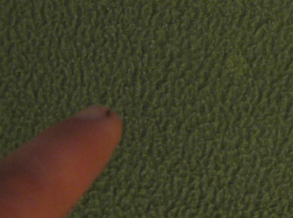 Und noch ein verkrusteter Fleck El Mouradi Club Kantaoui