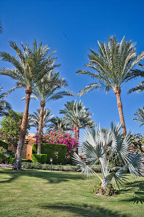 Gartenanlage Steigenberger Coraya Beach - Adults only