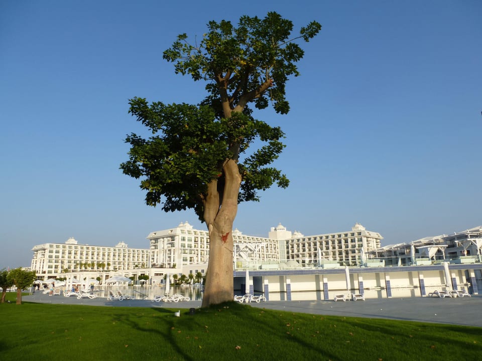 Titanic Belek Deluxe Titanic Deluxe Golf Belek