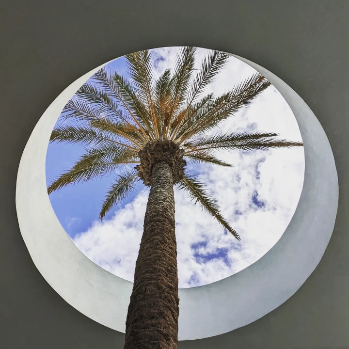 Sonstiges R2 Pajara Beach