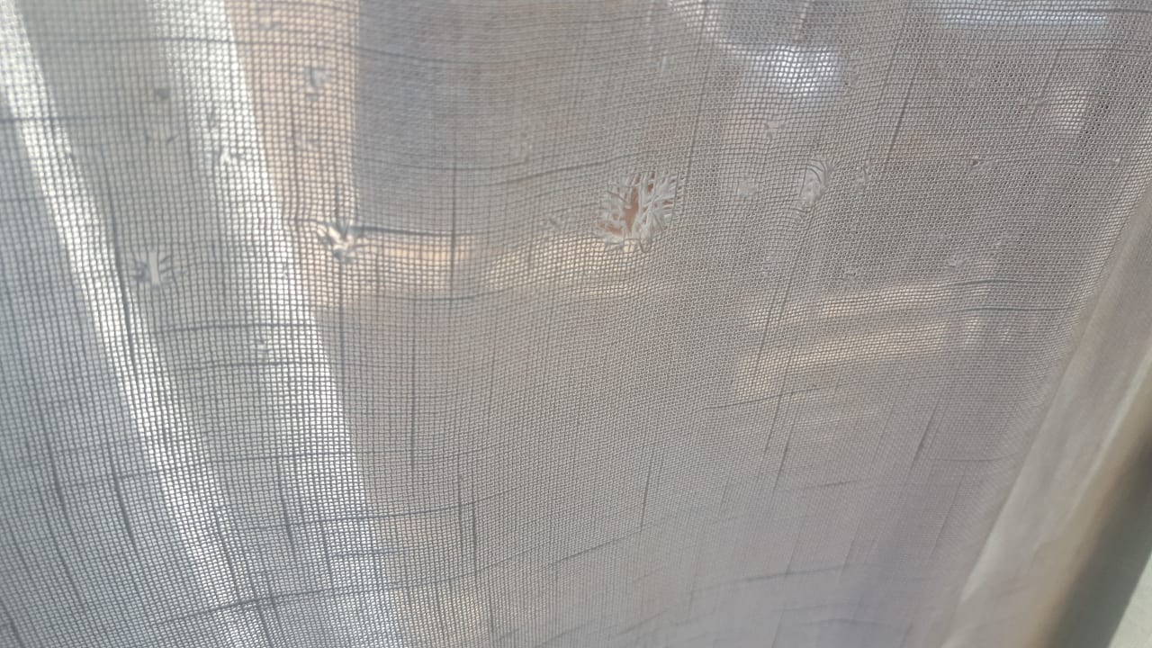 Zimmer Grand Waterworld Makadi & Family Star Makadi