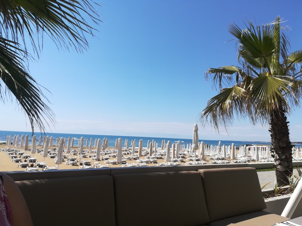 Strand PALOMA Perissia