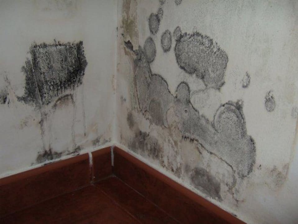 Schöner Schimmel Hotel Na Forana