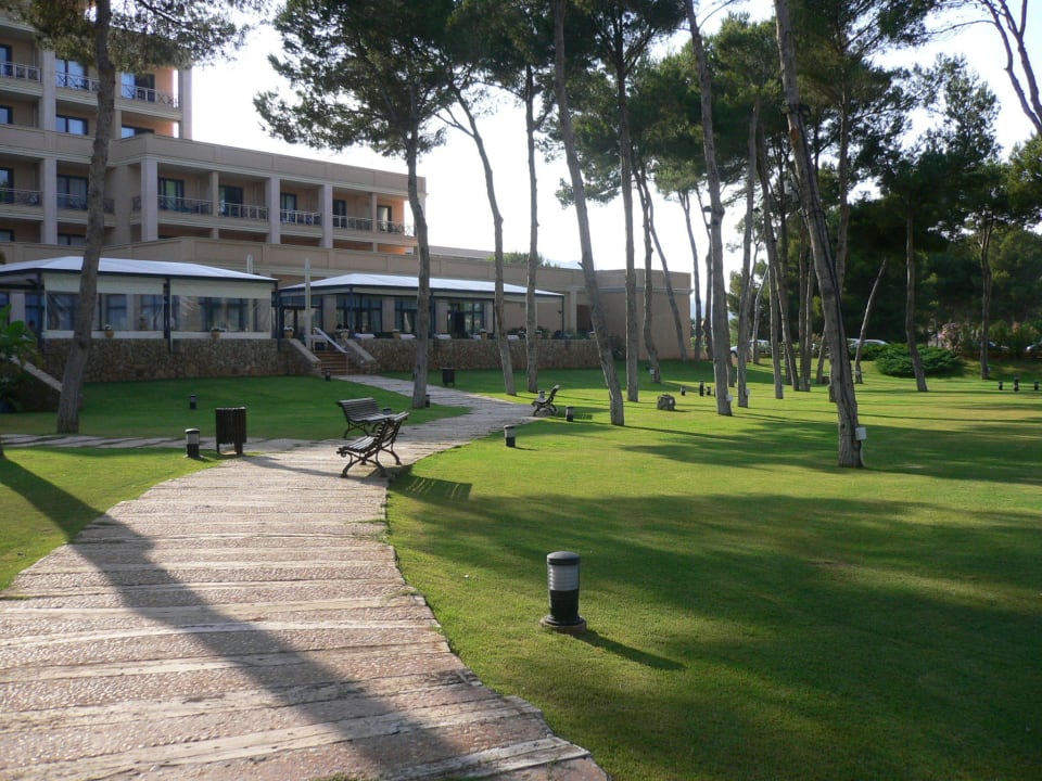 Территория отеля Hipotels Hipocampo Palace & Spa