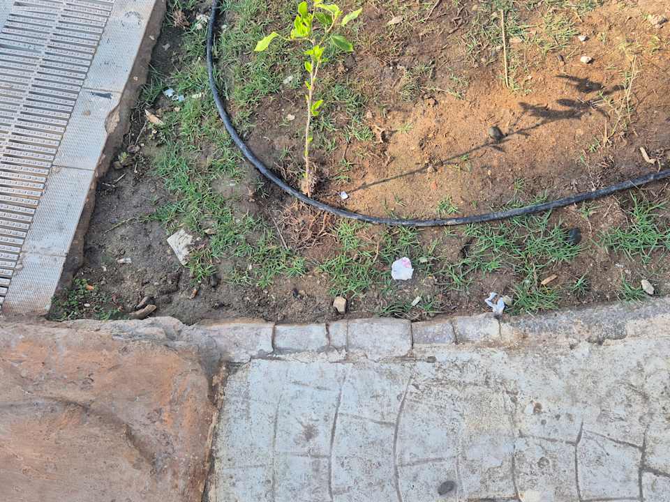 Gartenanlage Coral Hills Resorts & SPA