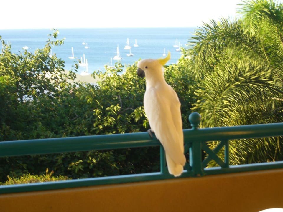 täglicher Besucher Toscana Village Resort