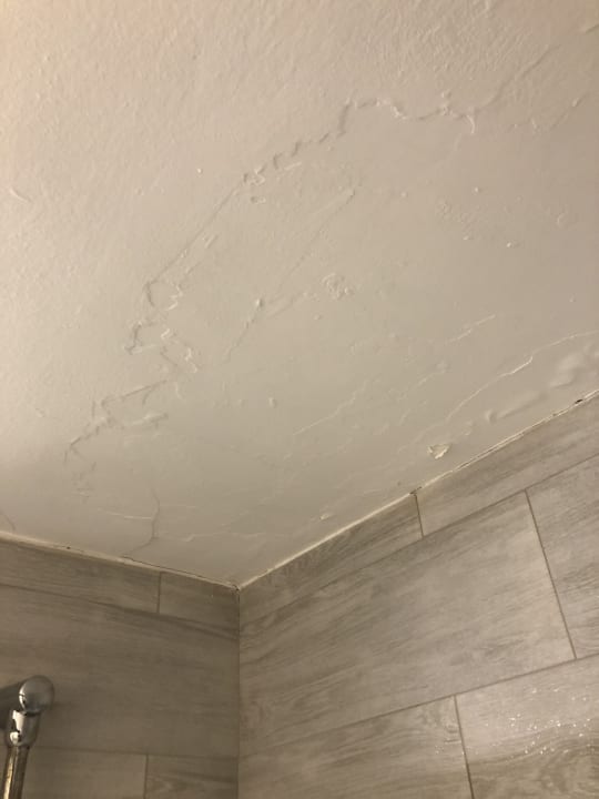 Zimmer Alcudia Garden Aparthotel