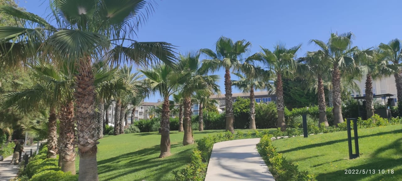 Außenansicht PALOMA Perissia