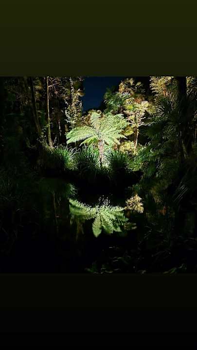 Gartenanlage Du Lac et Du Parc Grand Resort