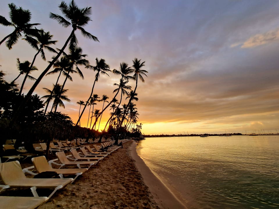 Strand Secrets La Romana Resort & Spa - Adult Only