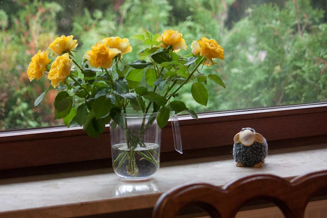 Sonstiges Apartment Hockmannshof