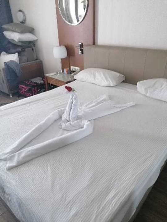 Zimmer Side Star Elegance