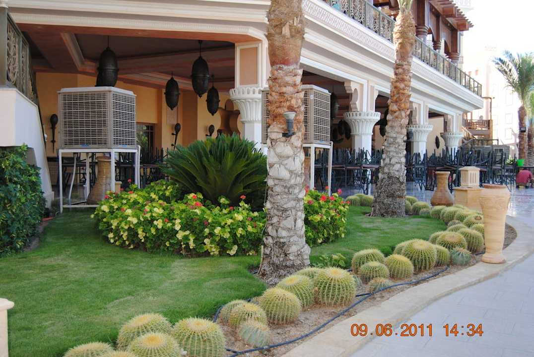 Kaktusy Pickalbatros Palace Resort
