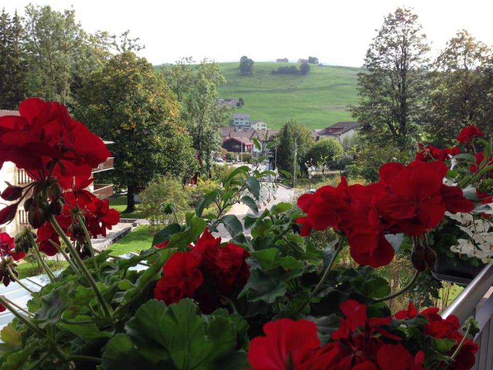 Aussicht vom Zimmer 222 Hotel Hof Weissbad