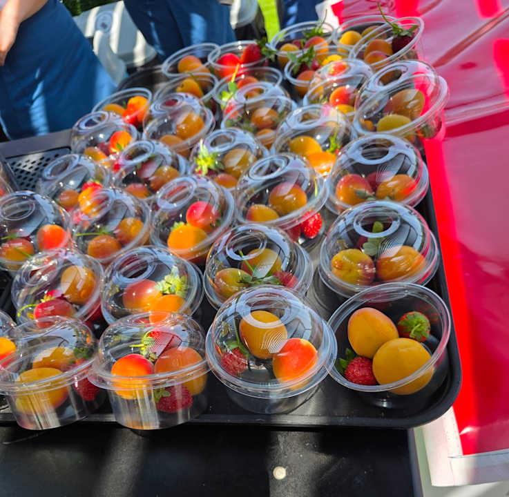 Gartenanlage Belek Beach Resort Hotel