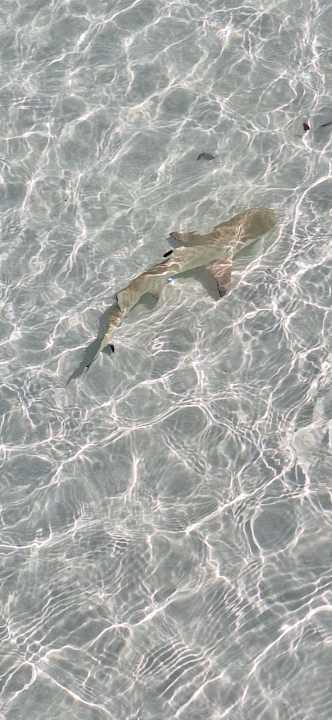 Strand Adaaran Select Meedhupparu Island Resort - Premium All Inclusive