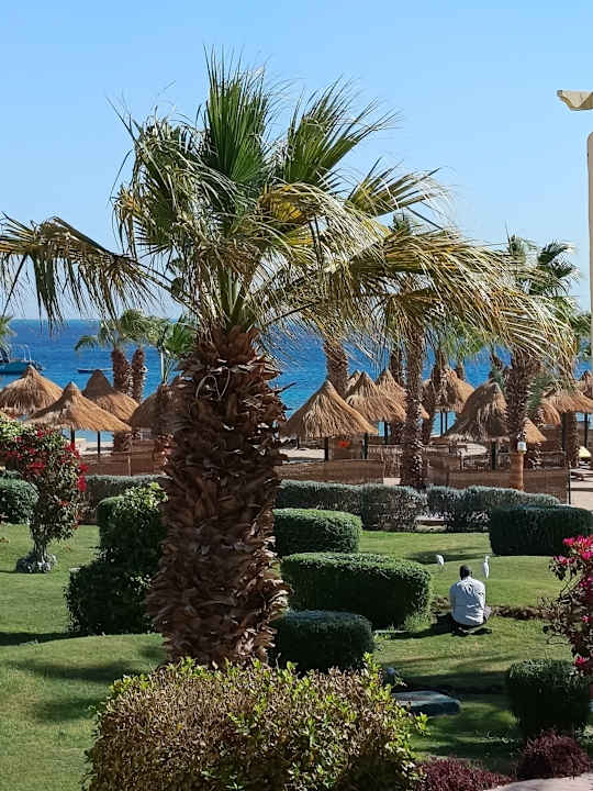 Gartenanlage Lotus Bay Beach Resort