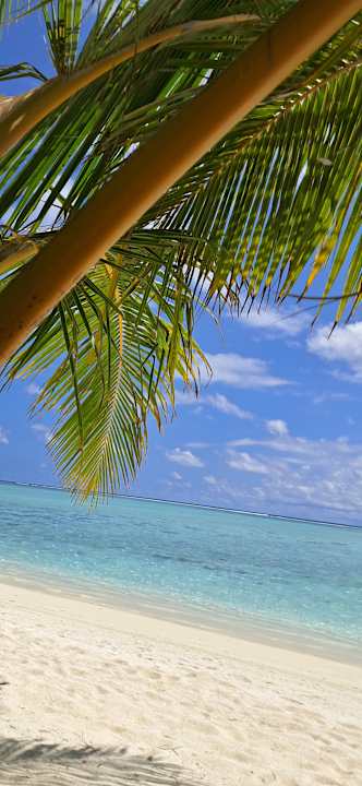 Strand Hotel Riu Palace Maldivas