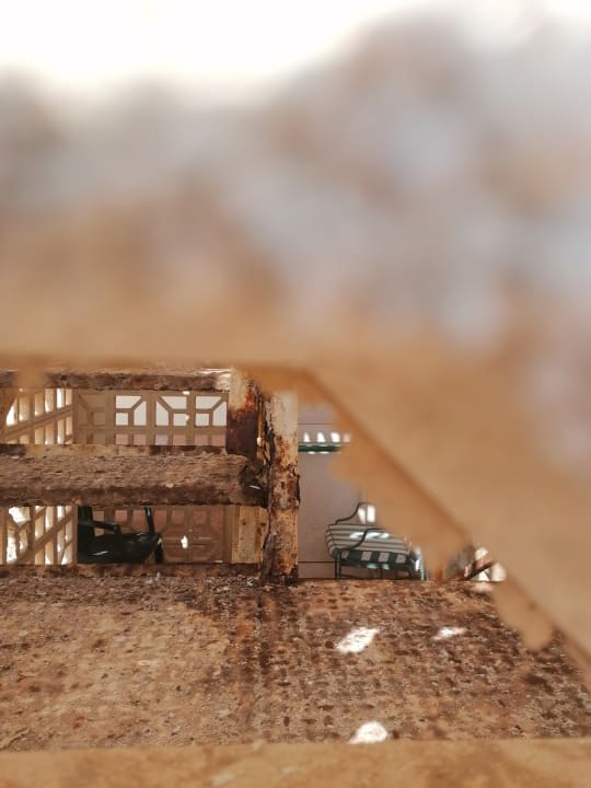 Sonstiges Hotel Riu Oliva Beach - Hotel