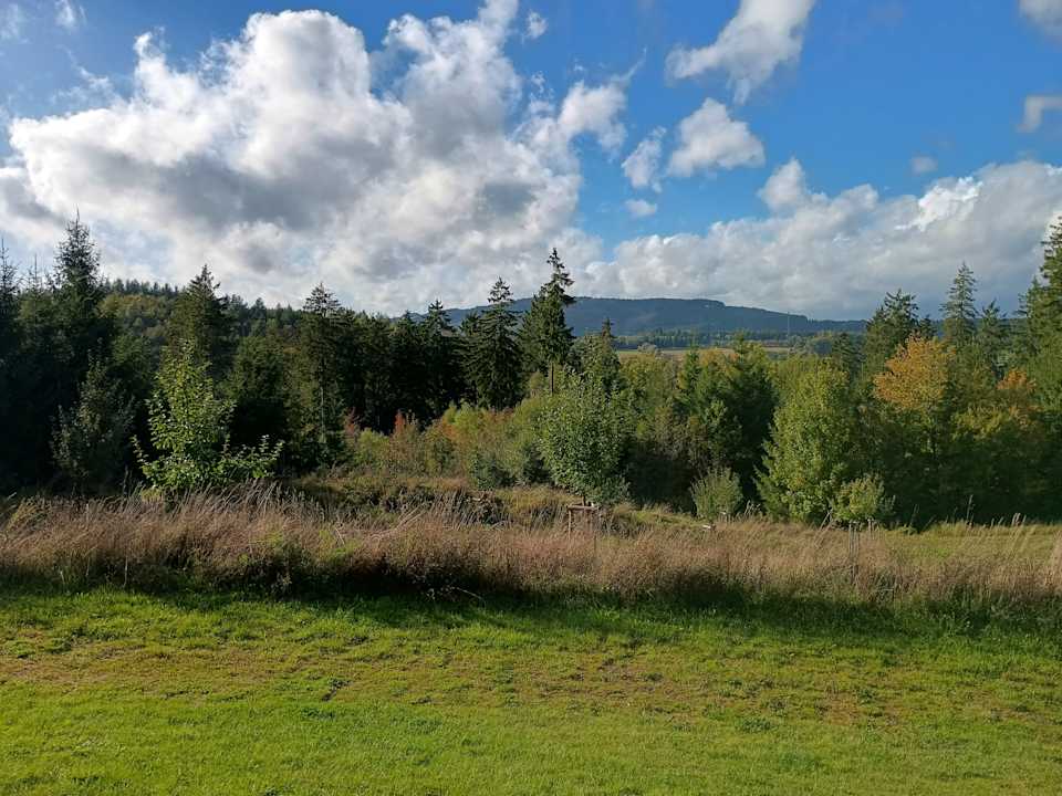Ausblick Bergdorf LiebesGrün
