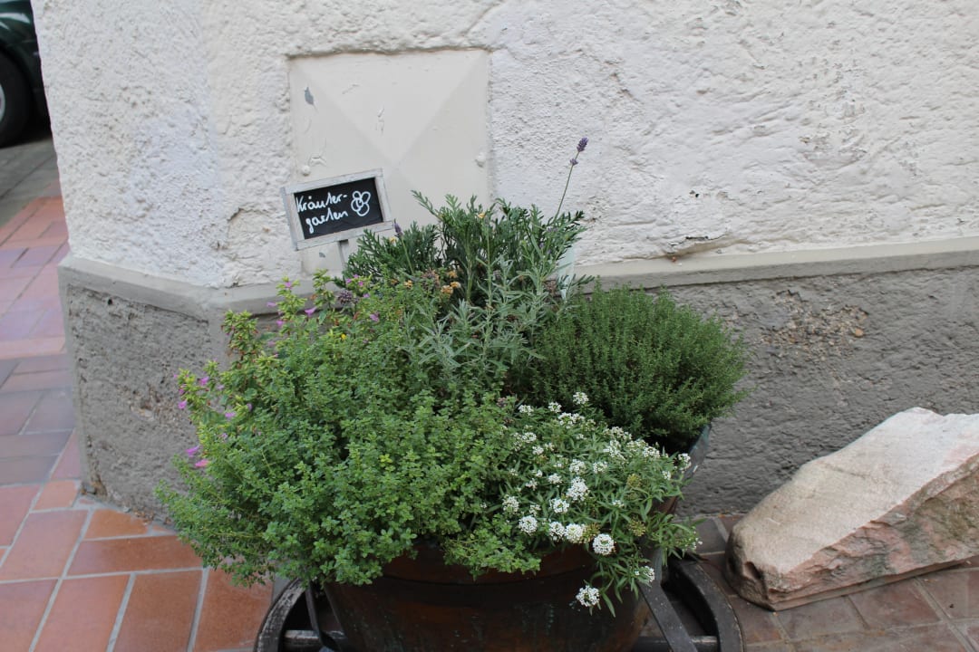 Sonstiges Pension Helmhof