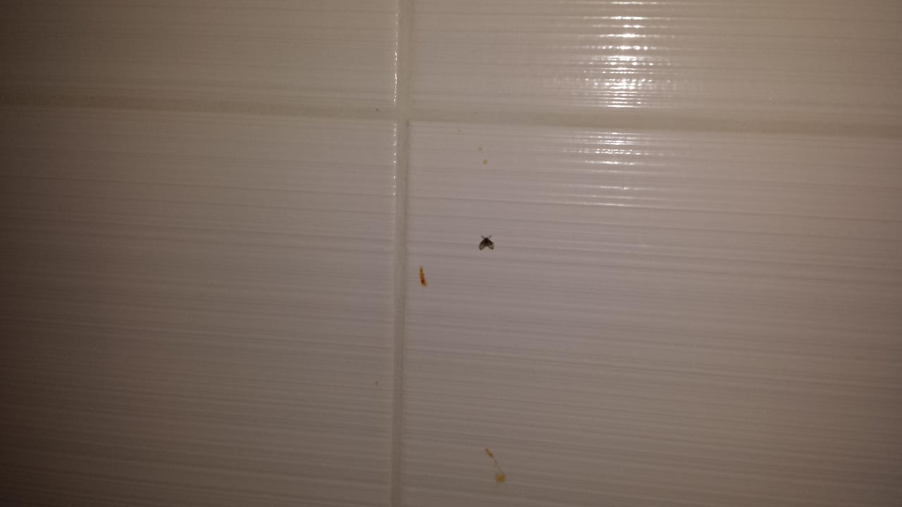 Bad Sandy Beach Resort