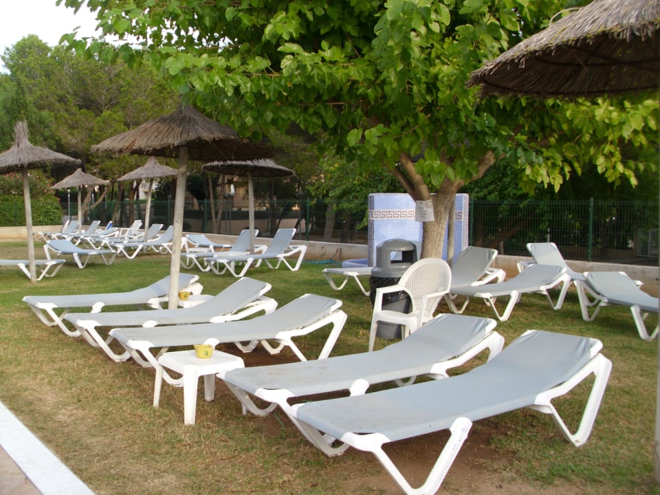 Liegen  Hotel Boreal