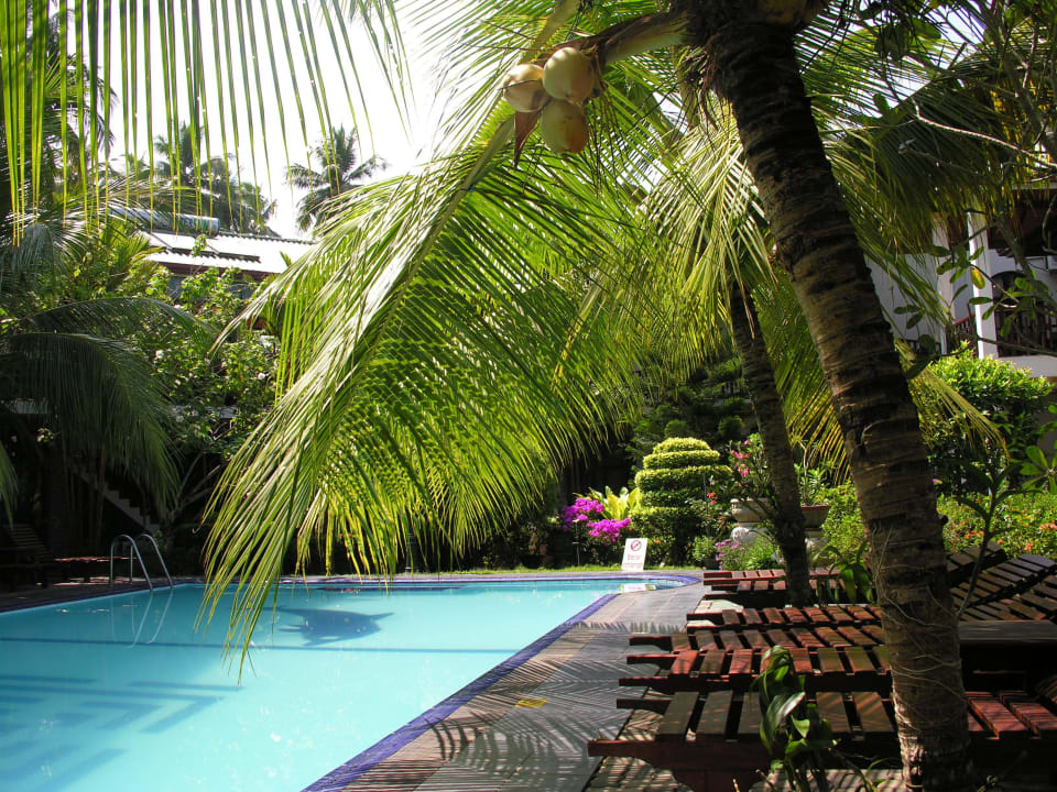 Sauber und gepflegt lädt der Pool zum chillen ein Hotel Bentota Village